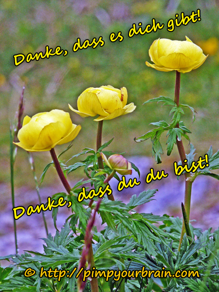 Danke dass du du bist gelbe Blume_600 Dankbarkeit